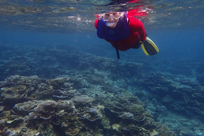 Anilao Snorkel Safari: Explore the Amazing Underwater World - Leaving Manila at 6:30 a.m.
