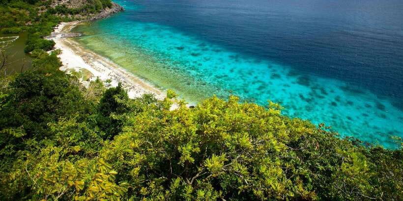 Apo Island Wonders: Snorkel with Sea Turtles in Dumaguete - Three Hours of Swimming and Snorkeling