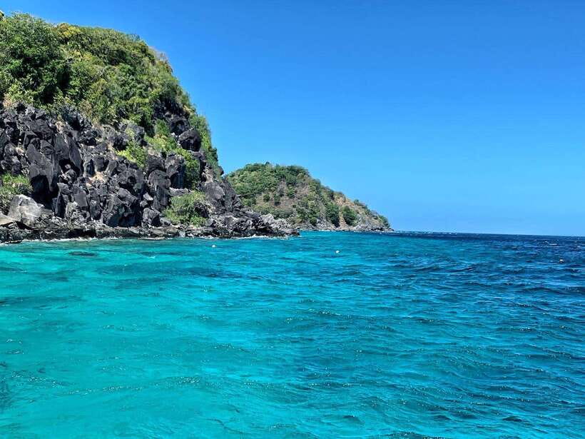 Apo Island Wonders: Snorkel with Sea Turtles in Dumaguete - From Dumaguete Hotel Pickup to the Port