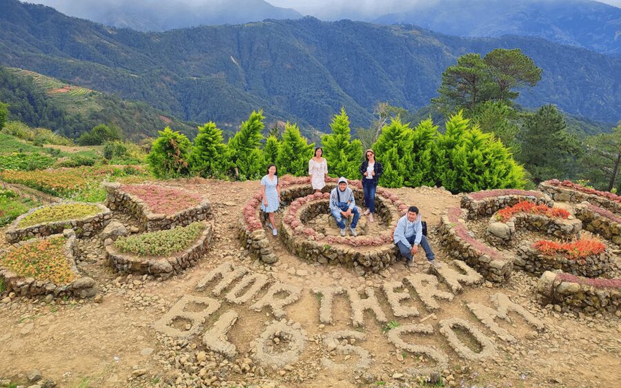 Baguio Atok Flower Blossoms (Private Tour) - Should you book the Baguio to Atok flower tour?