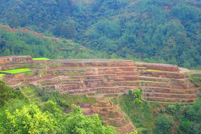Banaue Rice Terraces Escape: 3 Days, 2 Nights with Transfers - The 3:00 a.m. departure and the road to Banaue