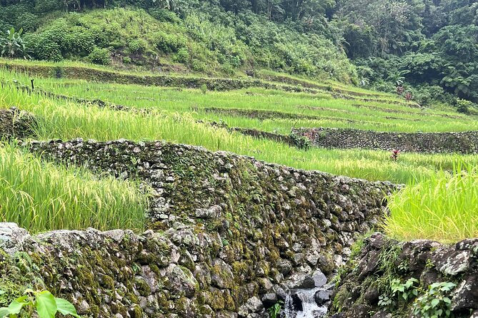 Batad Guided Tour - Walking into Batad’s mountain terraces