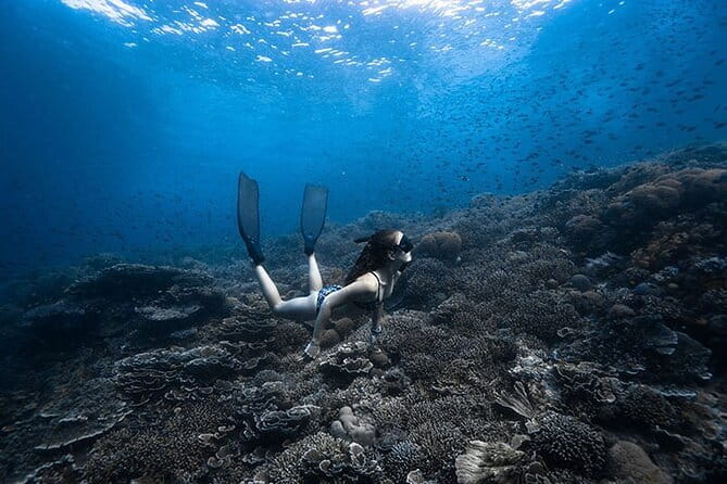 Beginner Freediving Course (with Bonus Session) - Learning to freedive in Panglao
