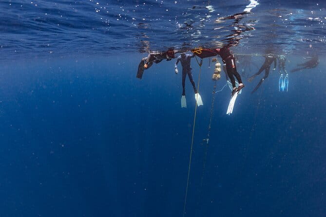 Beginner Freediving Course (with Bonus Session) - Booking details and cancellation