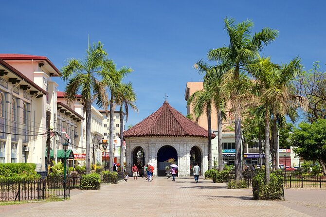 BEST OF CEBU: Cebu City Heritage with Uphill Tour | Joiners - Sirao Flower Garden and the highland roads