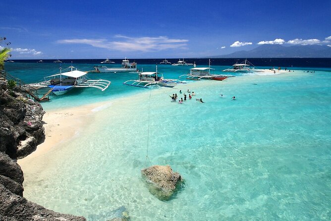BEST OF CEBU:Oslob Whaleshark Encounter w Sandbar & Tumalog Falls - Tumalog Falls, height over heavy flow