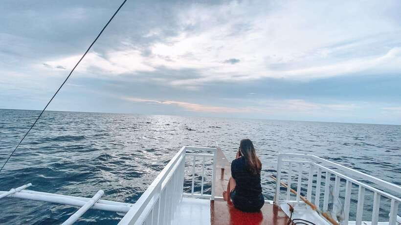 Bohol Balicasag Is Private Tour and Dolphin Watching - Key points at a glance