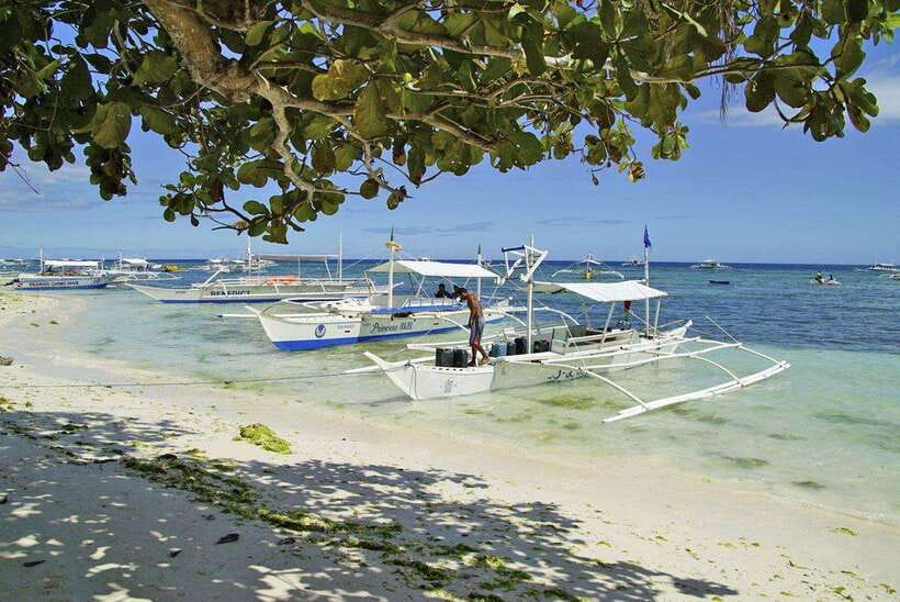 Bohol Balicasag Is Private Tour and Dolphin Watching - Balicasag snorkeling with fish and turtles