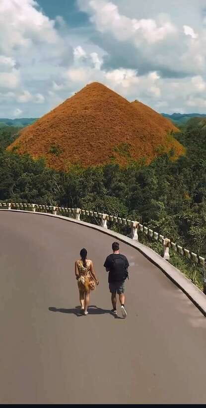 Bohol: Budget Chocolate Hills & Tarsiers -Backpacker Special - Key points at a glance