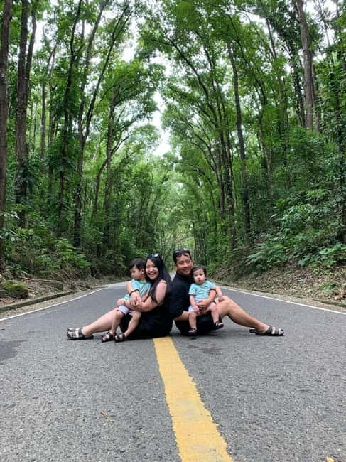 Bohol: Chocolate Hills, Tarsier, and Loboc River Tour - The Chocolate Hills viewing decks