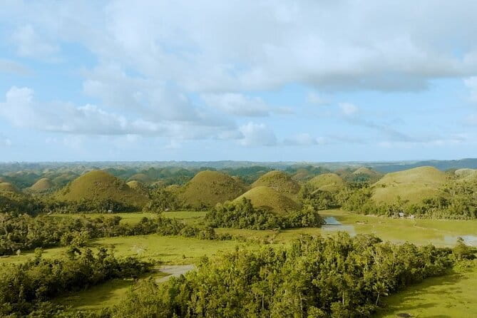Bohol Chocolate Hills, Tarsiers & Loboc River Shared Tour - Loboc River cruise and buffet lunch