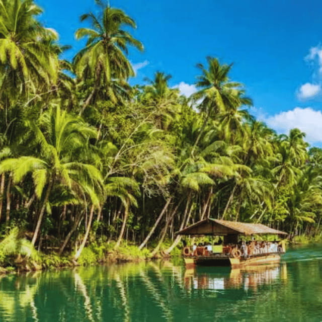 Bohol: Chocolate Hills Tour with Loboc River Cruise & Lunch - Key points to know before booking