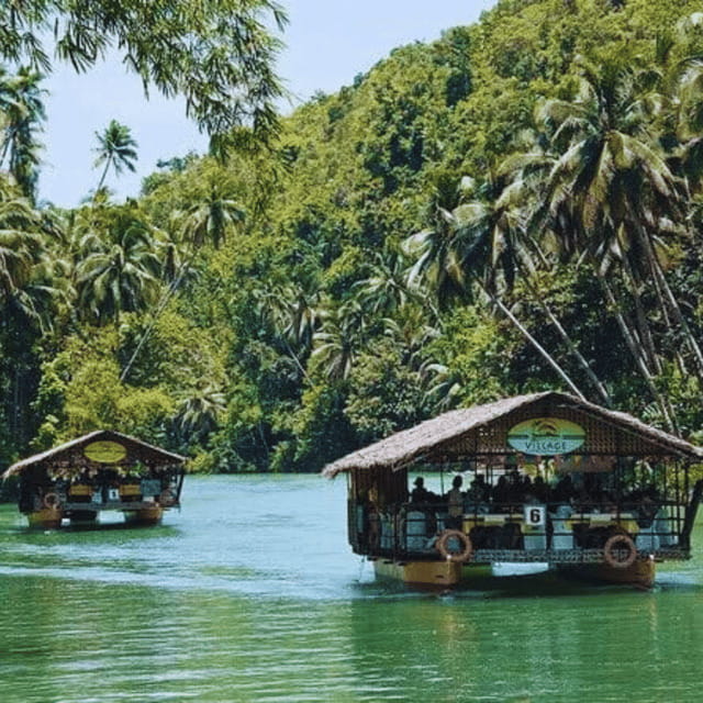 Bohol: Chocolate Hills Tour with Loboc River Cruise & Lunch - Meeting the Philippine tarsier