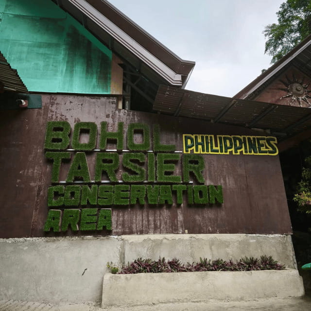 Bohol Chocolate Hills Tour with Loboc River Lunch Buffet - The day in five useful points