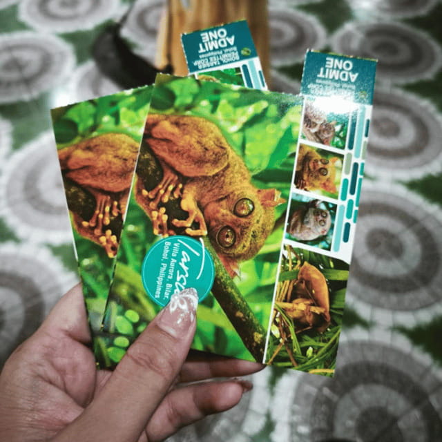 Bohol Chocolate Hills Tour with Loboc River Lunch Buffet - What the $58 price really buys