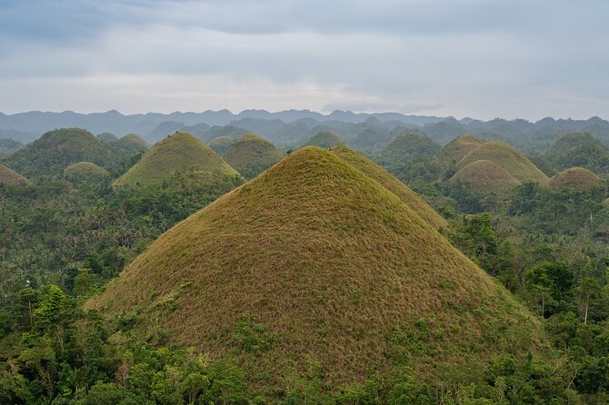 Bohol Chocolate Making and Farm Tour - From the Chocolate Hills to a working cacao farm