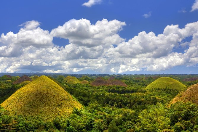 Bohol Countryside Day Tour From Cebu City | Lunch at Loboc River Cruise - Lunch on the Loboc River is the day’s social center