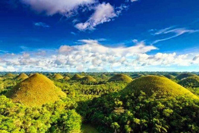 Bohol Countryside Day Tour From Cebu City | Lunch at Loboc River Cruise - The Blood Compact Monument is a quick photo stop