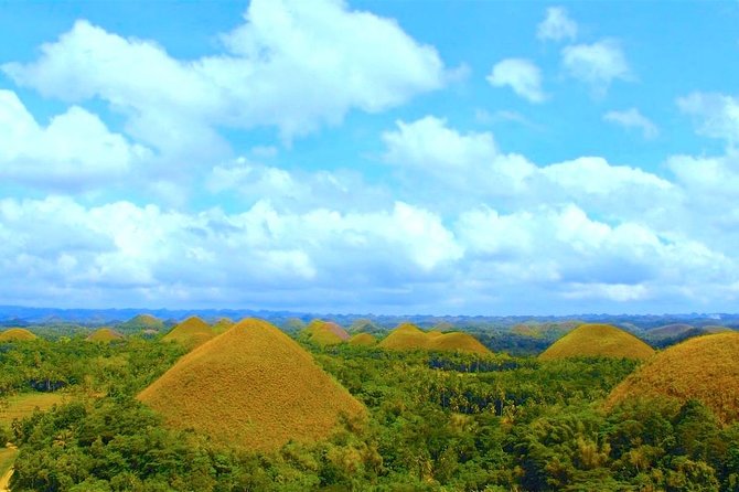 Bohol Countryside Day Tour from Cebu City or Mactan - Best Seller - Why this Cebu to Bohol day trip works