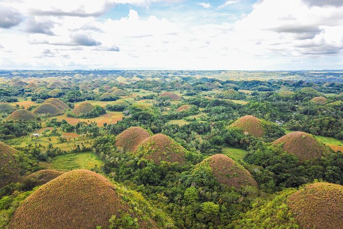 Bohol Countryside Tour: Chocolate Hills, Tarsier and Loboc River - The strange shapes of Chocolate Hills