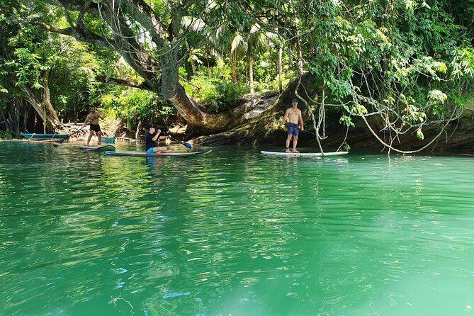 Bohol Countryside Tour: Chocolate Hills, Tarsier and Loboc River - A quieter look at Baclayon Church
