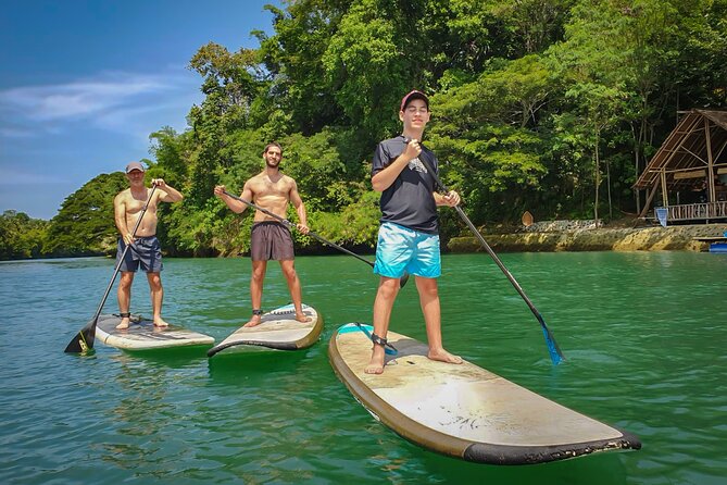 Bohol Countryside Tour: Chocolate Hills, Tarsier and Loboc River - Standing up on the Loboc River