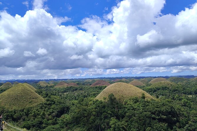 Bohol Countryside Tour to Chocolate Hills and Loboc River - Key points to know before booking