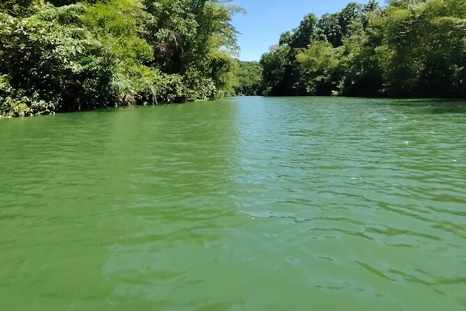 Bohol Countryside Tour to Chocolate Hills and Loboc River - A short stop at Guwaon Cave
