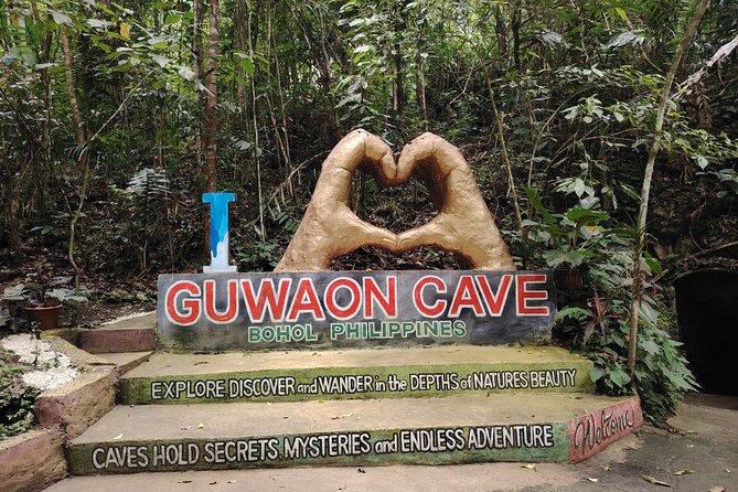 Bohol Countryside Tour to Chocolate Hills and Loboc River - The Chocolate Hills viewpoint