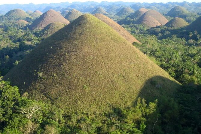 Bohol Countryside Tour to Chocolate Hills and Loboc River - Butterflies and lemurs before the ride home