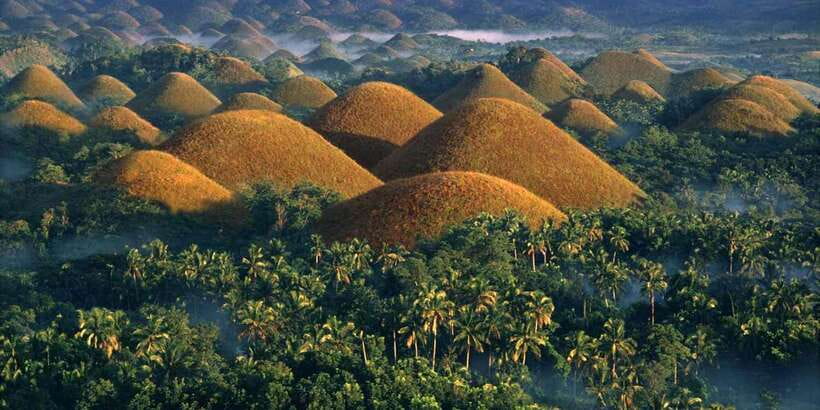 Bohol: Countryside Tour with Loboc (Buffet Lunch) - What your driver-guide adds to the day