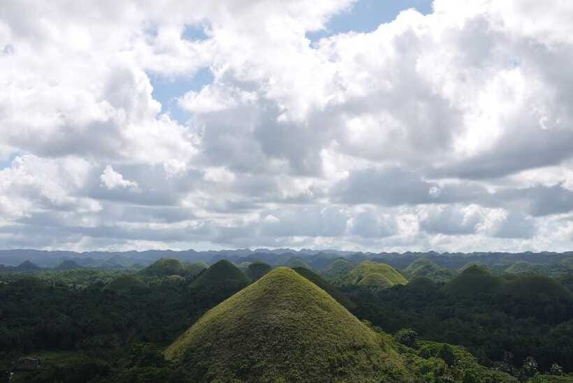Bohol: Countryside Tour with Tarsiers and Chocolate Hills - The Man-Made Forest offers a cool two-kilometer pause