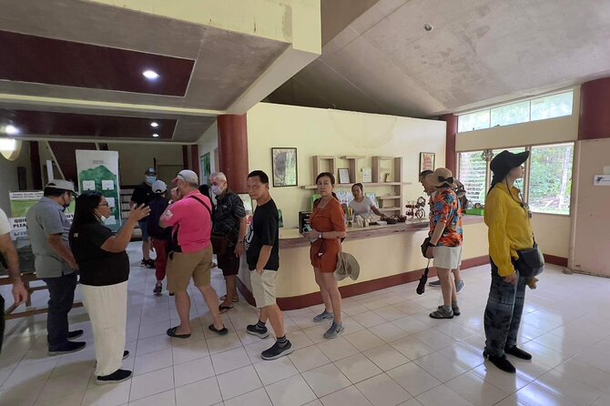 Bohol Day Tour with Round-Trip Transfers from Cebu - Chocolate Hills: Bohol’s big photo stop