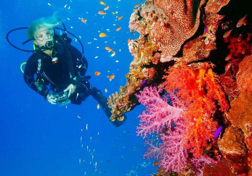 Bohol: Discover Scuba Diving - No Experience Needed - A gentle introduction to scuba in Panglao