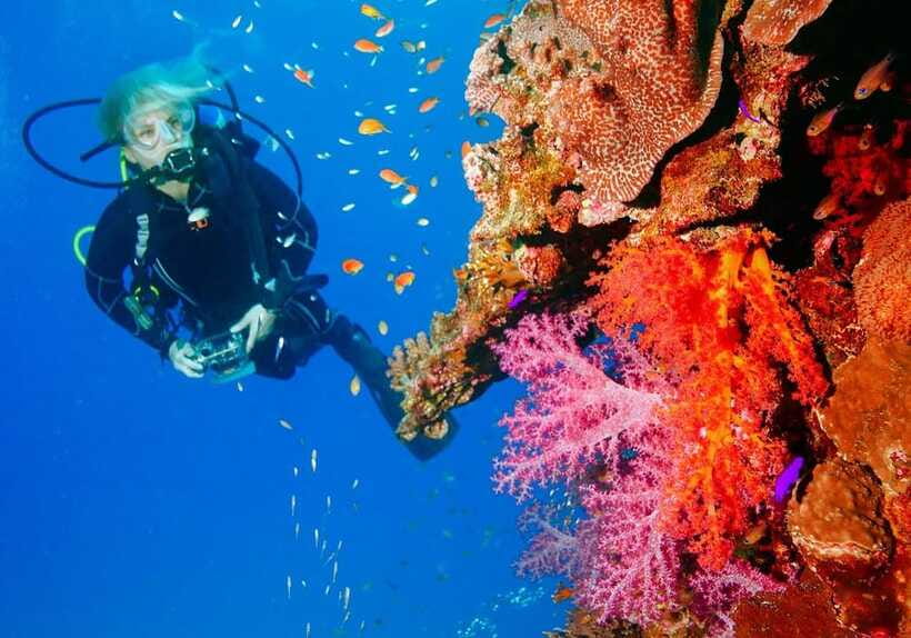 Bohol: Discover Scuba Diving - No Experience Needed - The 30-minute ocean session