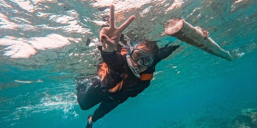 Bohol Dolphin Watching, Balicasag, and Virgin Island Tour - Key points before you book