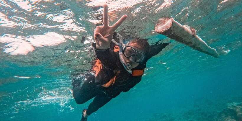 Bohol Dolphin Watching, Balicasag, and Virgin Island Tour - Who will enjoy this Bohol island trip?