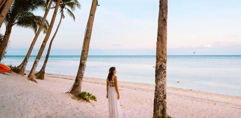Bohol: Dolphin Watching & Sea Turtle Swim Island Tour - Guides who keep the morning moving
