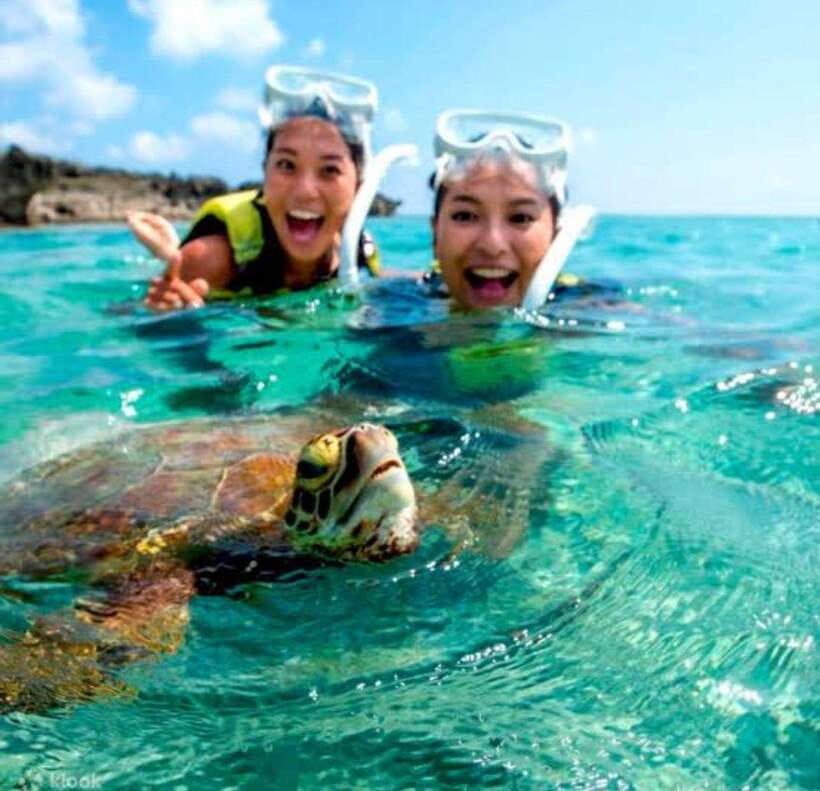 Bohol: Dolphin Watching & Sea Turtle Swim Island Tour - Balicasag Island and the turtle area