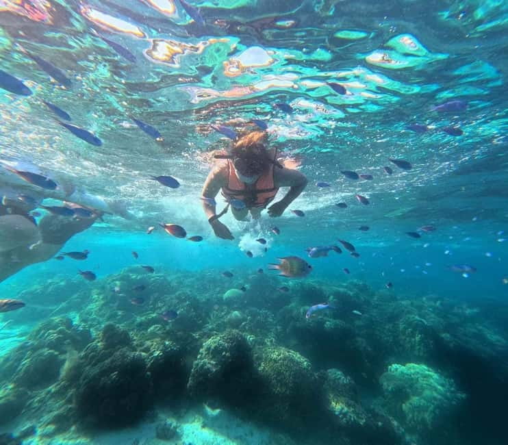 BOHOL: Dolphin Watching, Turtle Swim and Party Boat - Key points at a glance