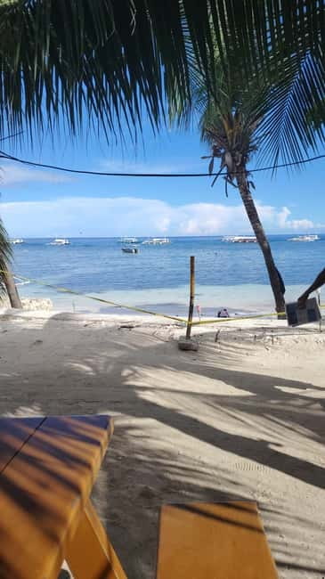 BOHOL: Dolphin Watching, Turtle Swim and Party Boat - How the experience balances wildlife and entertainment