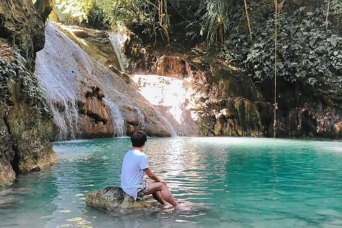 Bohol Full Day Waterfall & Countryside Scooter Tour - The Bilar Man-Made Forest is a quick visual change