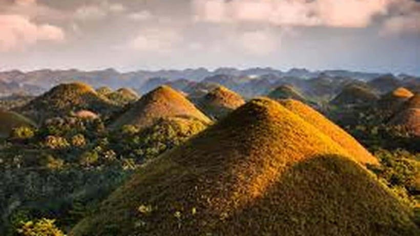 Bohol: Guided Chocolate Hills & Tarsiers Tour - What the ₱37 price really covers