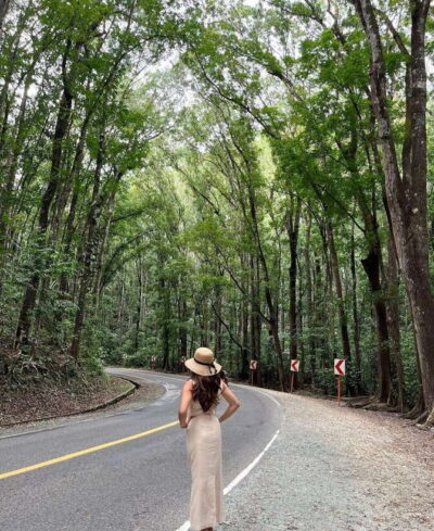 Guided Chocolate Hills & Tarsiers Tour