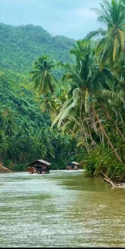 Bohol: Guided Chocolate Hills & Tarsiers Tour - A careful visit with Bohol’s tarsiers