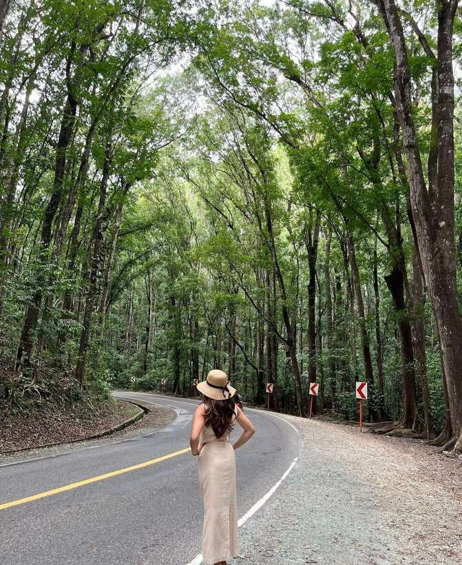 Bohol: Guided Chocolate Hills & Tarsiers Tour - Pickup in Panglao, Tagbilaran, or near Loboc