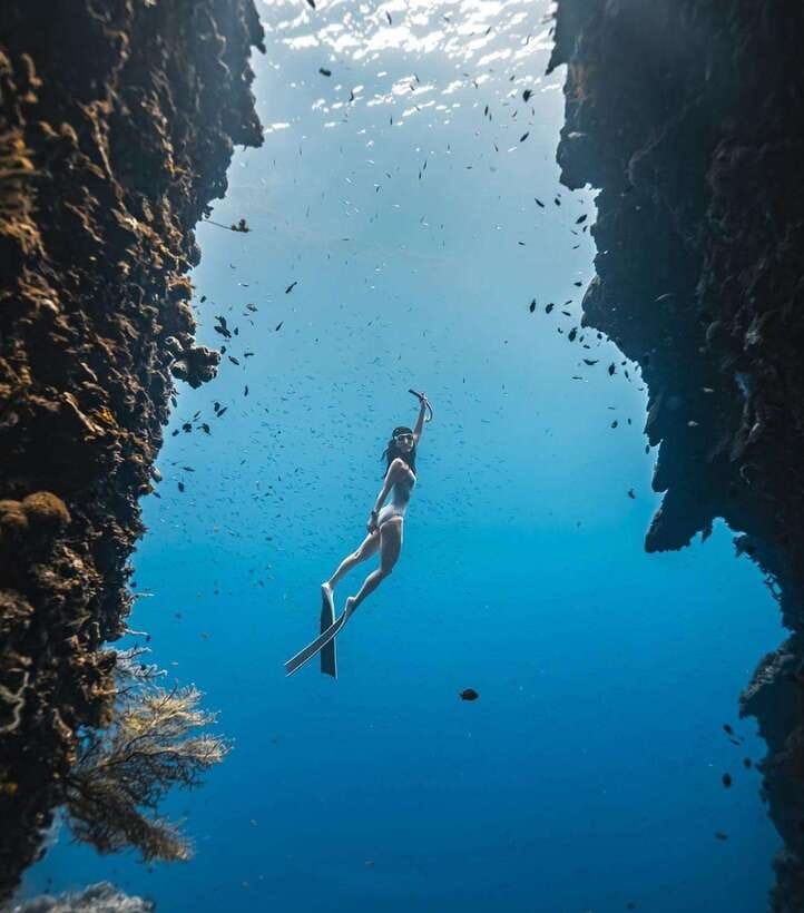 Bohol: Guided Sardine Reef Snorkeling Experience - What the sardine reef experience is really like