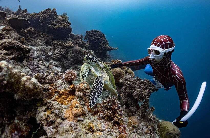 Bohol: Guided Sardine Reef Snorkeling Experience - Following the guide to the active reef area