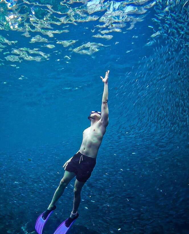 Bohol: Guided Sardine Reef Snorkeling Experience - How crowded conditions can affect the visit