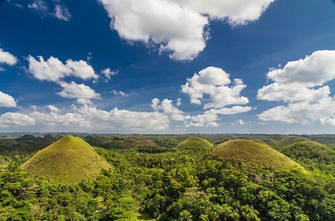 Bohol Highlights Tour: Chocolate Hills, Tarsier Spotting and Loboc River Cruise - The road through mahogany and farmland